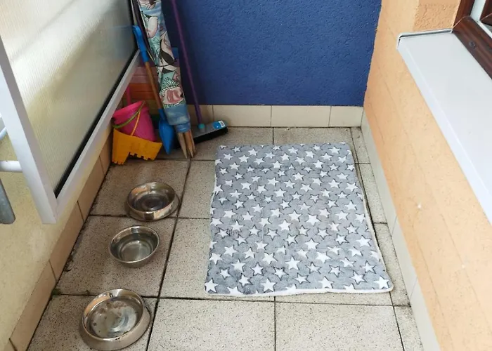 Ula Zielone Tarasy קולובז'ג